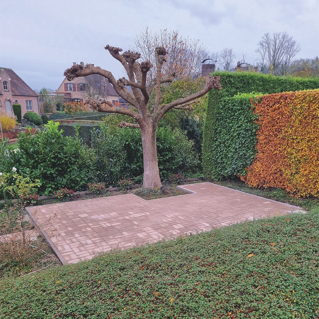 Lathouwers Algemen_0008_20231116_095800