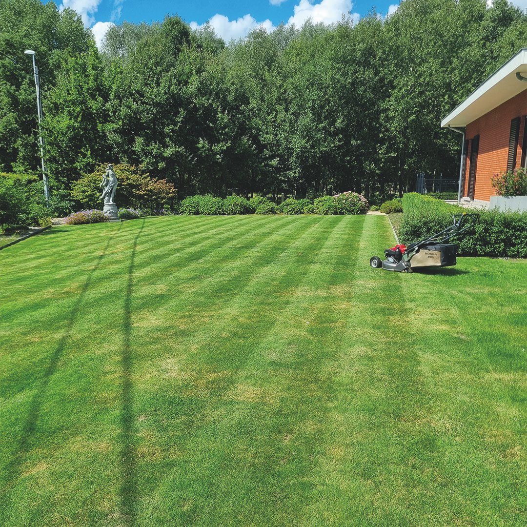 Lathouwers Algemen_0009_20230815_150124