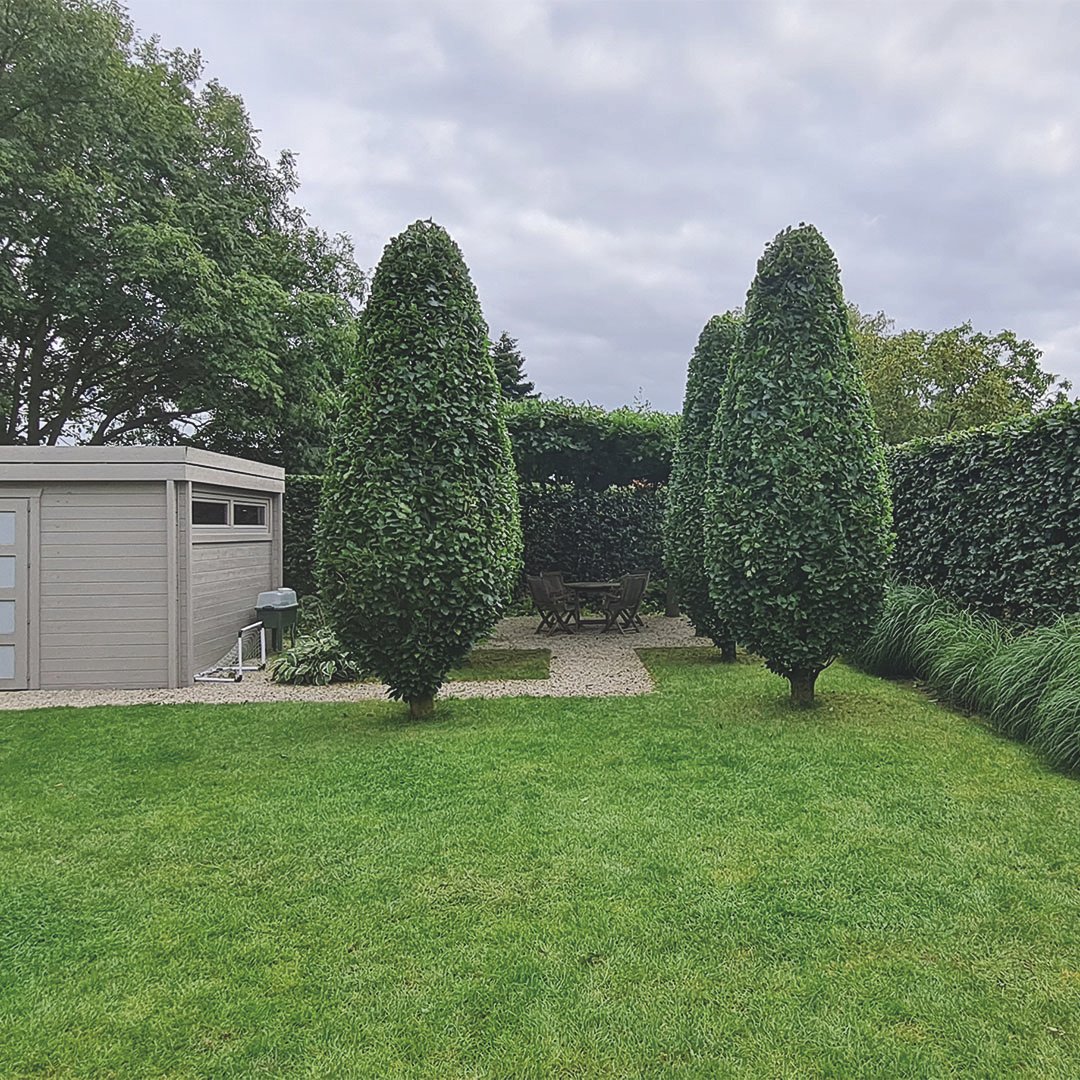 Lathouwers Algemen_0015_20210826_152829