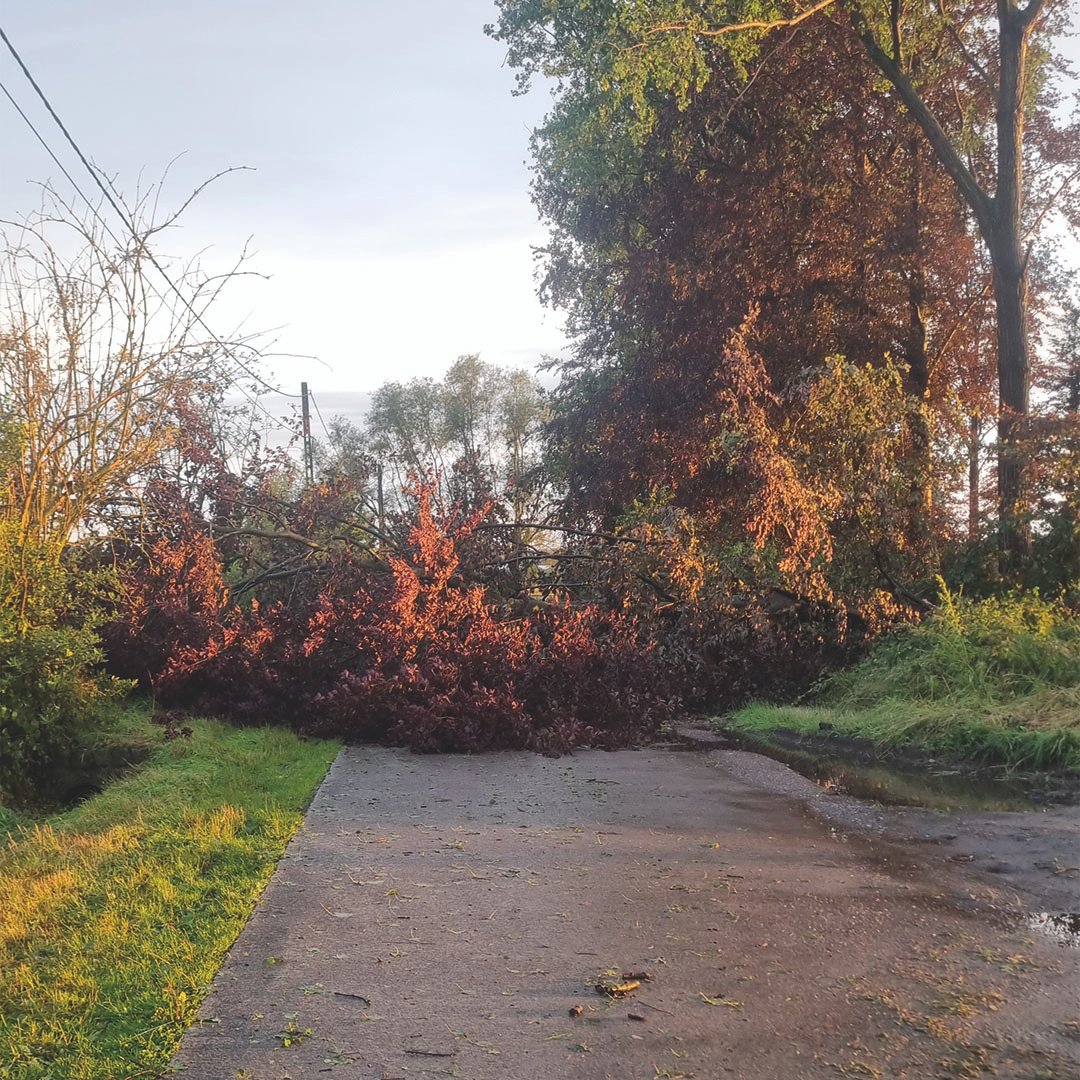 Lathouwers Algemen_0024_Snapchat-1869890539