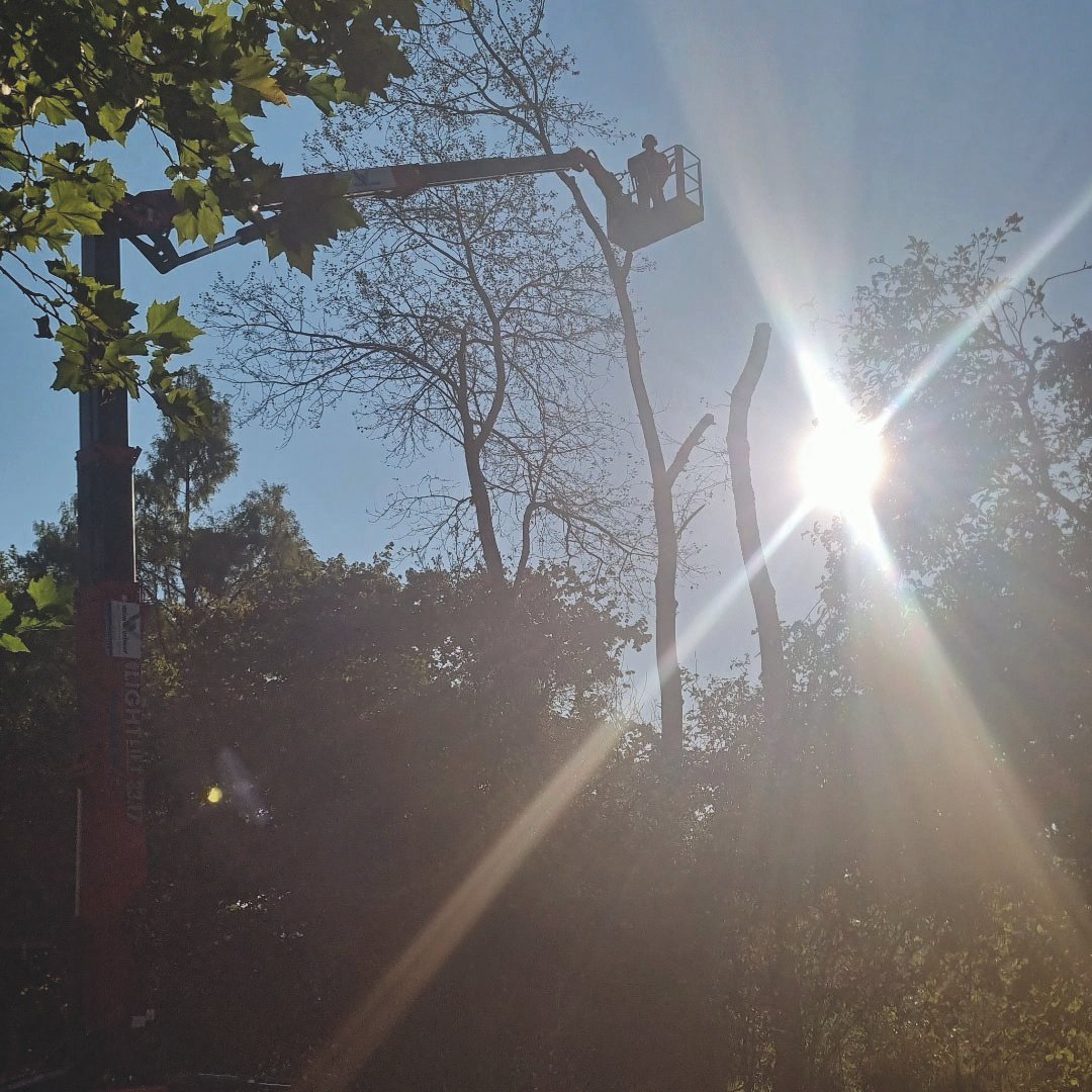 Lathouwers Algemen_0028_IMG_20240921_094731_445