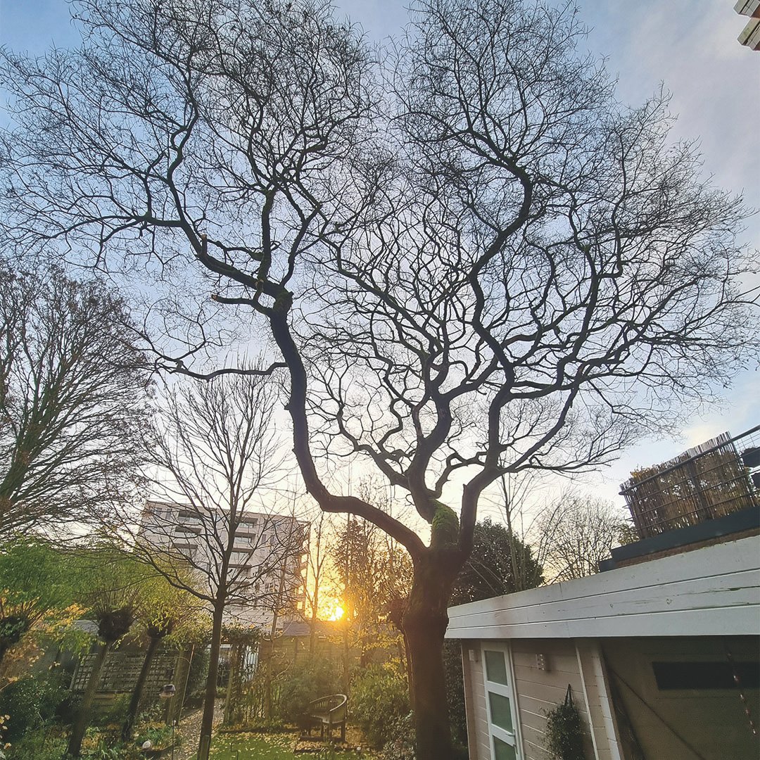 Lathouwers Algemen_0037_20241126_084510