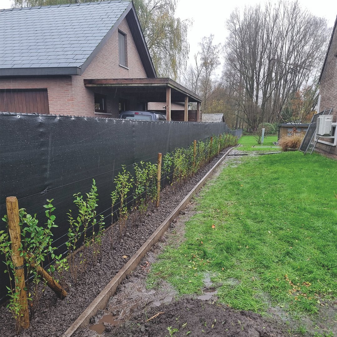 Lathouwers Algemen_0039_20241119_131133