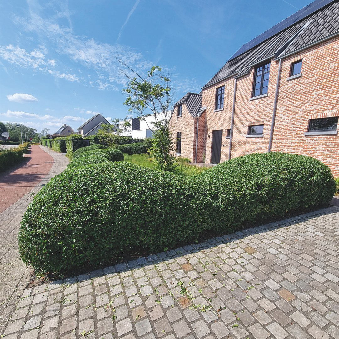 Lathouwers Algemen_0046_20240806_154156